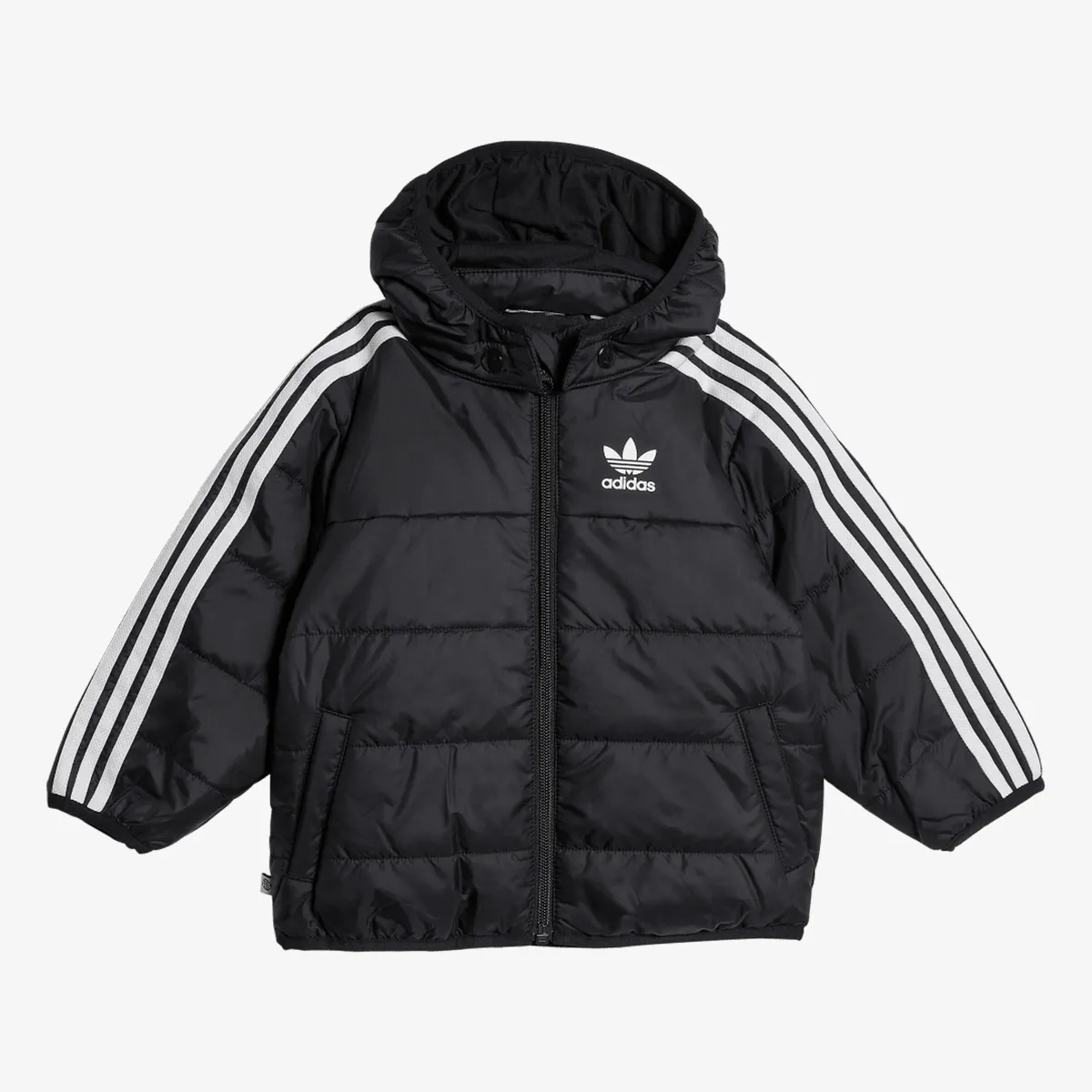 PADDED JACKET 
