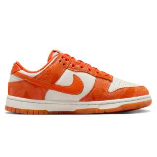 WMNS NIKE DUNK LOW NB 
