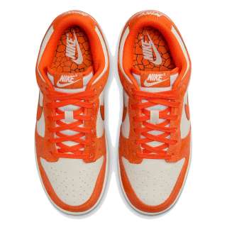 WMNS NIKE DUNK LOW NB 
