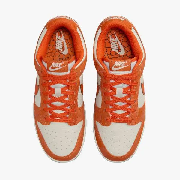 WMNS NIKE DUNK LOW NB 