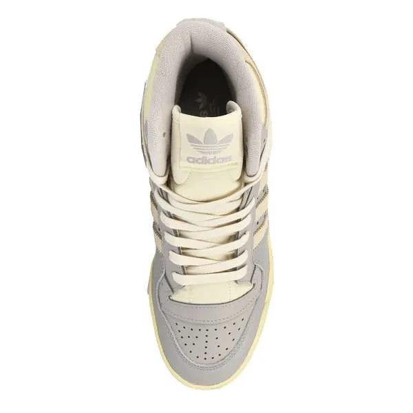 FORUM 84 HI W 