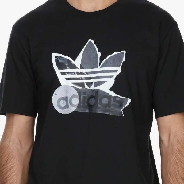TS FASHION 1 