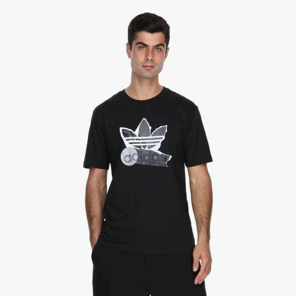 TS FASHION 1 
