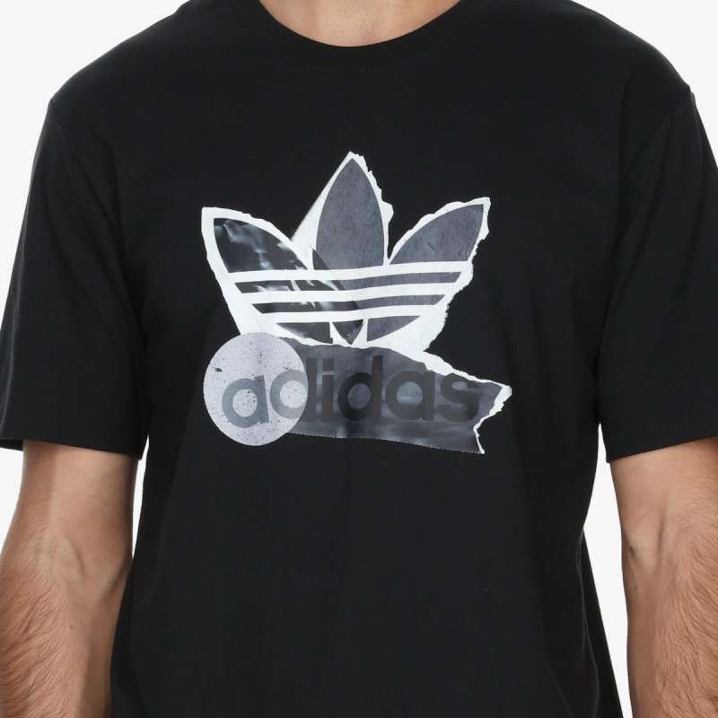 TS FASHION 1 
